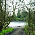 Walk Derbyshire – Exploring Shipley Country Park