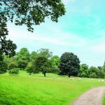 Walk Derbyshire – Along Lover’s Walk – Ilam