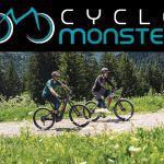 Will an Electric Bike work for you?