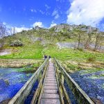 Walk Derbyshire – A Walk Through Upper Lathkill Dale