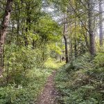 Walk Derbyshire – A Pleasant Walk from Pilsley to Hassop