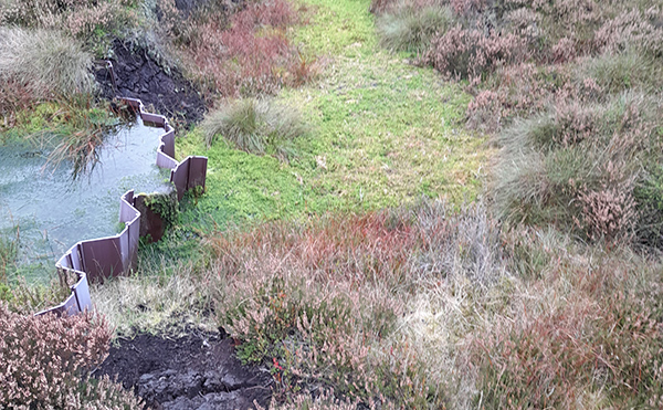 Severn Trent partnership brings life back to damaged moorland landscapes