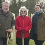 Tree planting gathers pace