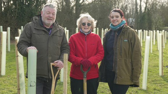 Tree planting gathers pace