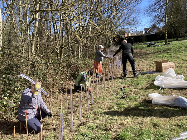 Hedgerow Heroes celebrate nature restoration achievement and planted and restored over 2.6km of hedgerows in Derbyshire