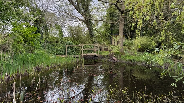 lake and bridge in the garden 