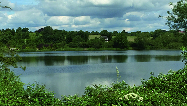 Ripley, Alfreton, and Heanor Join Forces in Landmark Joint Bid for UK Town of Culture