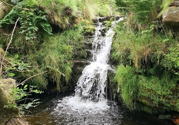 Here are 8 of the best ‘wild swimming’ spots in the Peak District.