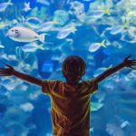 Little boy, kid watching the shoal of fish swimming in oceanarium, children enjoying underwater life in Aquarium.