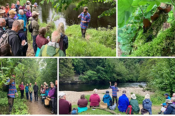 Fancy a FORAGE & NIBBLE in Bakewell (Derbyshire)This Saturday 6th June?