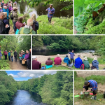 Fancy a FORAGE & NIBBLE in Bakewell (Derbyshire)This Saturday 6th June?