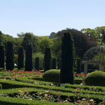 The Walled Garden