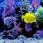 Matlock Bath Aquarium
