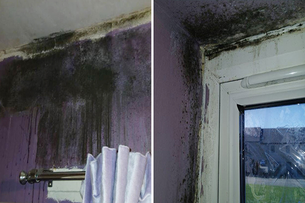 Groundwork charity tackles damp and mouldy homes