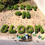 Derby in Bloom planting restores landmark city gateway