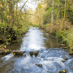 Walk Hartington