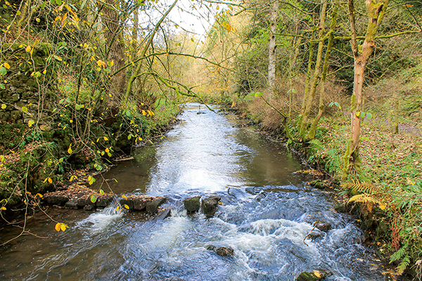 Walk Hartington