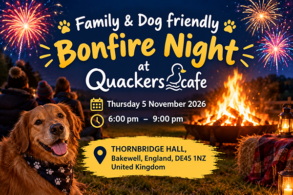 Family & Dog friendly Bonfire night