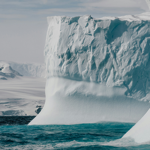 My Journey to Antarctica with HX Expeditions