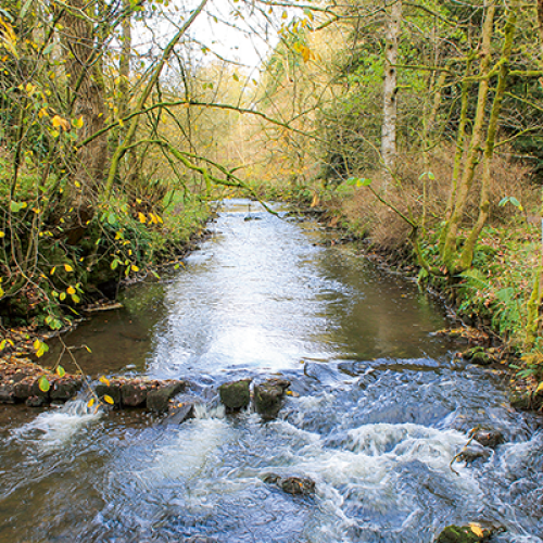 Walk Hartington