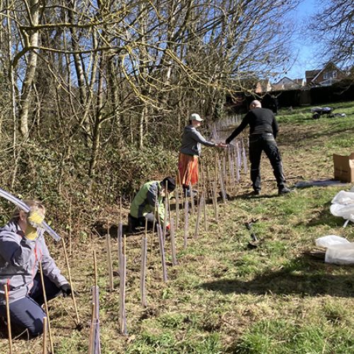 Hedgerow Heroes celebrate nature restoration achievement and planted and restored over 2.6km of hedgerows in Derbyshire