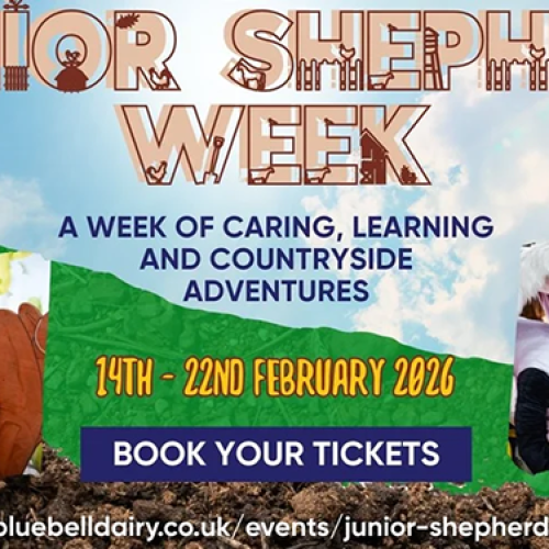Junior Shepherd Week