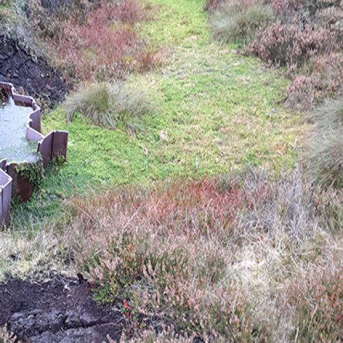 Severn Trent partnership brings life back to damaged moorland landscapes