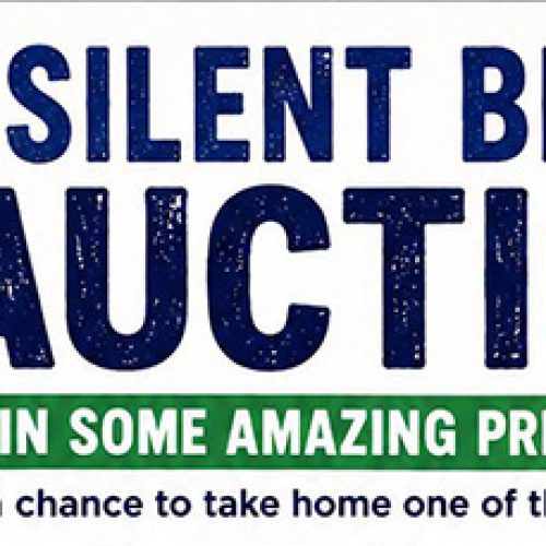 The advance bids are now open for Horsley Village Hall Silent Bid Auction 2026!