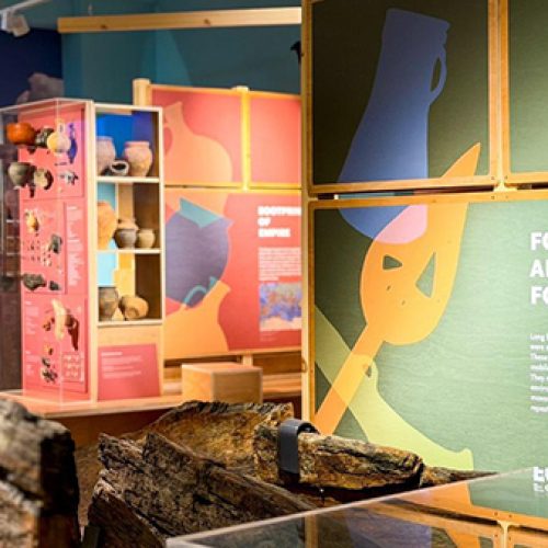 New galleries reveal millions of years of Derbyshireâ€™s archaeology and nature