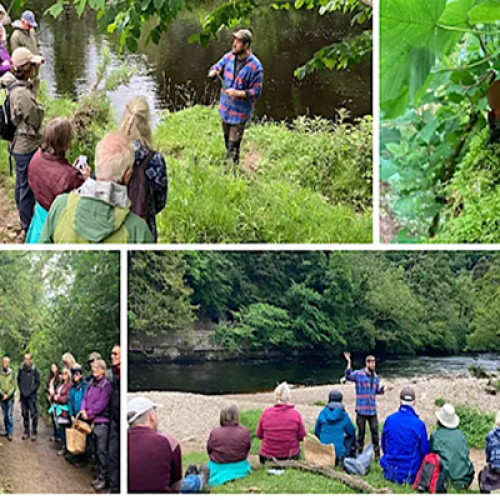 Fancy a FORAGE & NIBBLE in Bakewell (Derbyshire)This Saturday 6th June?