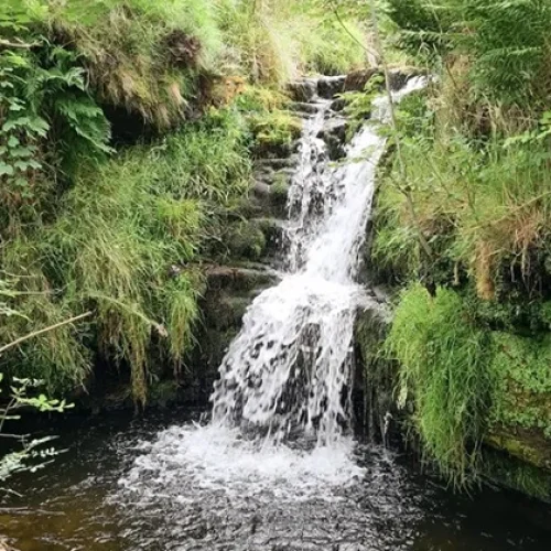 Here are 8 of the best ‘wild swimming’ spots in the Peak District.