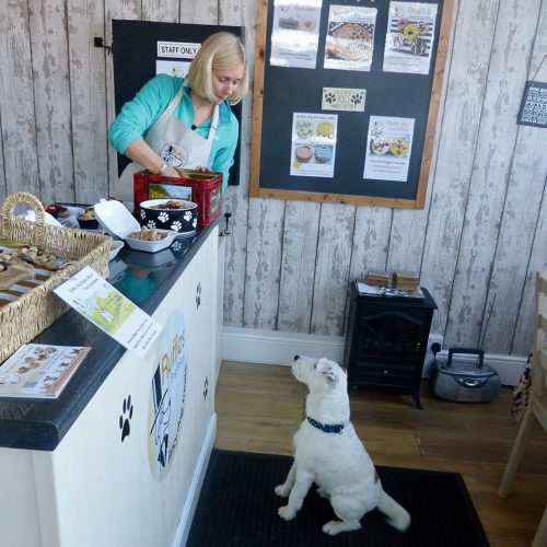 Taste Derbyshire – Canine Delights
