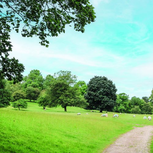 Walk Derbyshire – Along Lover’s Walk – Ilam