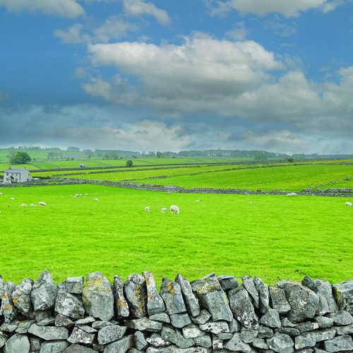 Walk Derbyshire – A Walk Between Monyash & Flagg