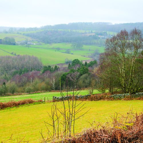 Walk Derbyshire – A Walk Above Matlock