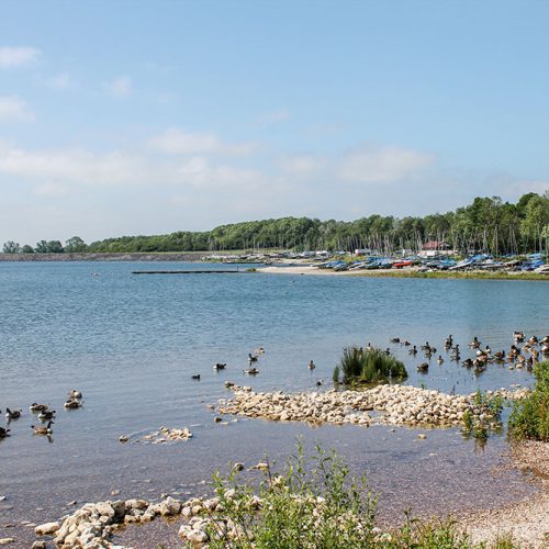 Walk Derbyshire – Carsington Pasture & The High Peak Trail