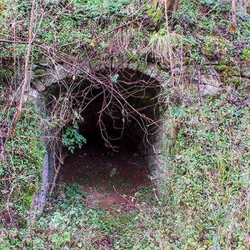 Walk Derbyshire – Elton & Gratton Dale