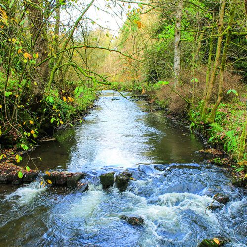 Walk Derbyshire – Where Izaak Walton Fished – Hartington