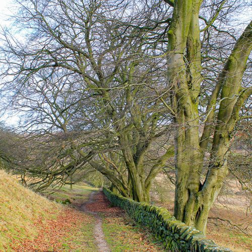 Walk Derbyshire – Around Matlock Moor