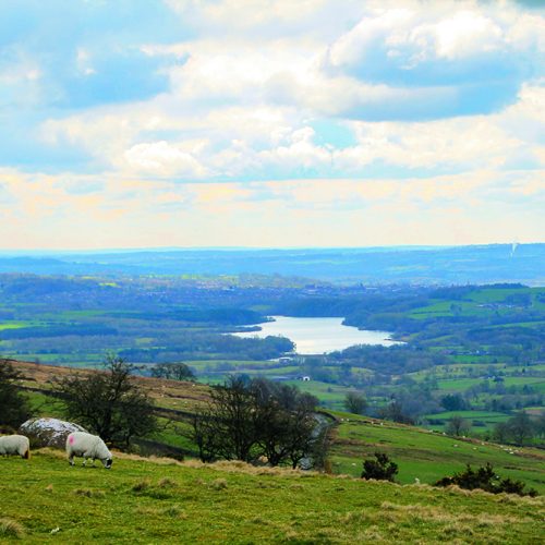 Walk Derbyshire – The Roaches