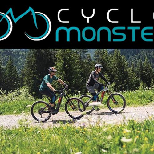 Will an Electric Bike work for you?