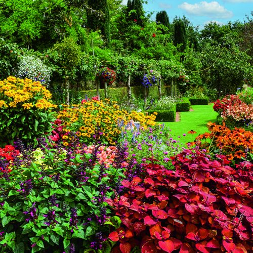 Lunch at Meynell Langley