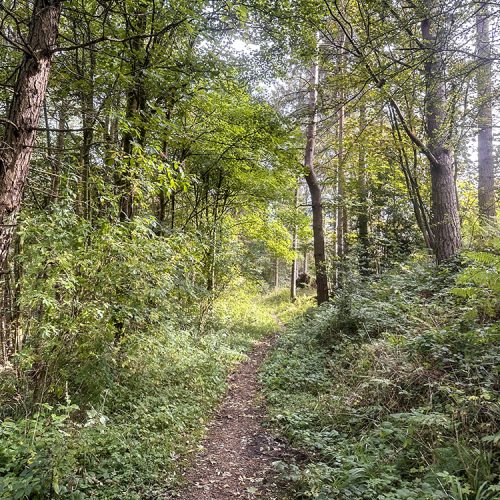 Walk Derbyshire – A Pleasant Walk from Pilsley to Hassop