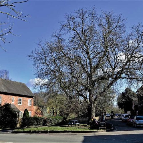 A Brief Look Around Markeaton, Mackworth & Kedleston