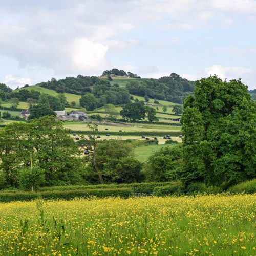 Walk Derbyshire – An Amble through Ashover
