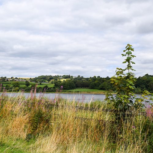 Walk Derbyshire – A Wander With An Ogston View