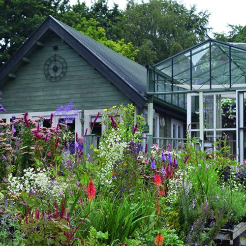 Dining Out – Meynell Langley Gardens & Tea Rooms